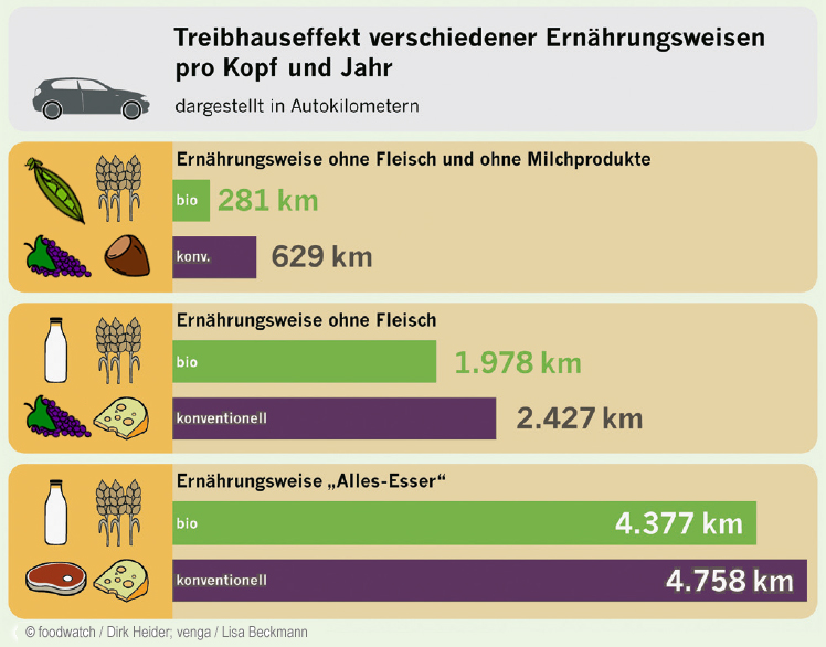 Grafik Treibhauseffekt